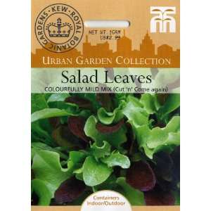   Salad Leaves Colorfully Mild Mix Seed Packet Patio, Lawn & Garden
