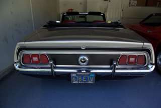 1971 1972 1973 Ford Mustang Mach 1 Convertible or Coupe Trunk Stripe 