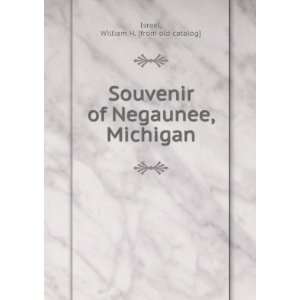   Souvenir of Negaunee, Michigan William H. [from old catalog] Israel
