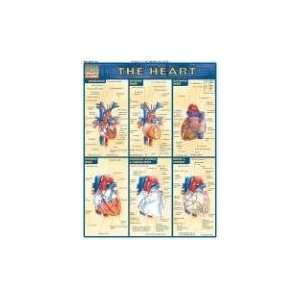    Heart (Quickstudy Academic) [Pamphlet] Inc. BarCharts Books