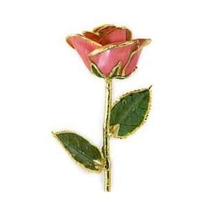  Sweetheart Pink 24karat Gold Dipped Rose