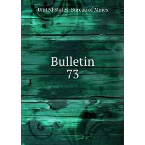  Bulletin. 73 United States. Bureau of Mines Books