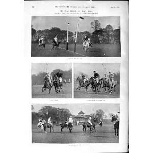   Horses Barn Elms Ranelagh Cantabs Ponies Antique Print