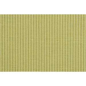  7975 Bentley in Lime by Pindler Fabric