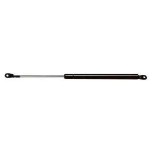  Strong Arm 4795 Hatch Lift Support Automotive