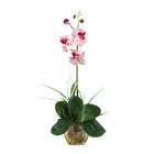   Mini Phalaenopsis Liquid Illusion Silk Orchid Arrangement White Pink