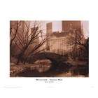 None Reflections   Central Park   Poster by Sergei Beliakov (28x22)