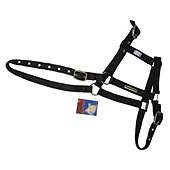 Cottage Craft fully adjustable Headcollar Black Pony