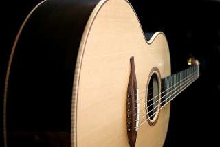  Guitars Only carries fine lefthanded acoustic and electric guitars 
