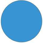 The Label Supplies Shop 4 Diameter Light Blue Circle Labels (500 per 