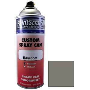  12.5 Oz. Spray Can of Lakeshore Silver Metallic Touch Up 