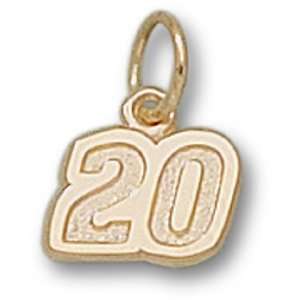 Gold Plating 20 Joey Logano #20 NASCAR Charm