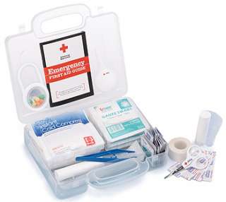  American Red Cross First Aid Kit   Learning Curve   