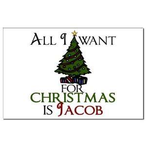  Jacob Christmas Twilight Mini Poster Print by  