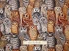 hoot owl fabric  