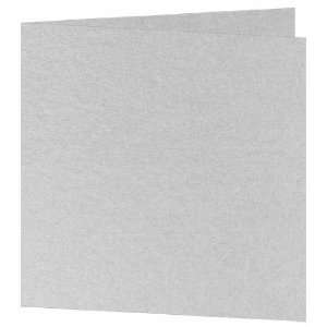   Blank Square Folder   Stardream Silver (50 Pack) Toys & Games