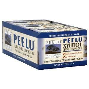  XYLITOL DNTLGUM PEPMT DSP CS 24/12 PC Health & Personal 