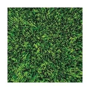  12 x 12 Paper   Grass Arts, Crafts & Sewing