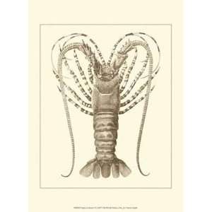  Sepia Lobster I   Poster (9.5x13)