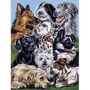  Paint By Number   Dogs Montage Toys & Games