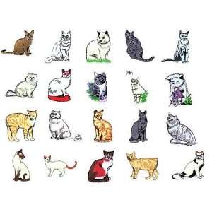  Embroidery Machine Designs CD CATS
