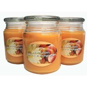  Pack Of 3 Peach Daisy Scented 20 Oz. Jar Candles