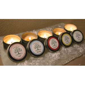  Natural 100% Soy Hand Poured Candle Gift Set   Exclusive 