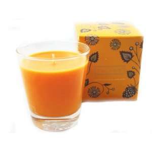  Illume Soy Candle Heirloom Pumpkin Simply Fall Demi Boxed 