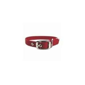  Single Thick Nylon Dog Collar Red 16 In