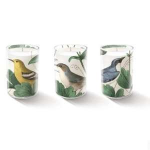  Fringe Studio Morning Birds Votive Candle Gift Set