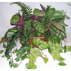  Silk Fern, Ivy and Peacock Plant Greenery Arrangement 