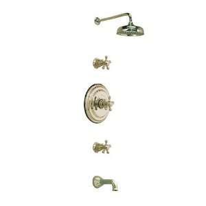 Strom Plumbing Thermostatic Shower Faucet THERMOSET 5N Polished Nickel