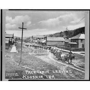  Pack train, Kooskia, Idaho / Kooskia Drug Co. 1880s,ID 