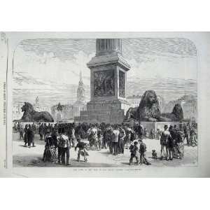  1867 Lions Nelson Column Trafalgar Square London Art