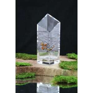  Unique Gift Art Crystal Glass Decorative Amber & Tin Vase 