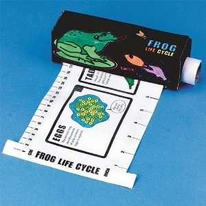  Frog Life Cycle Measure N Learn Craft Kit (Makes 12 