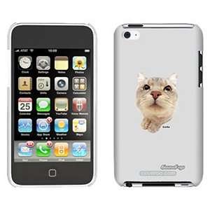  Scottish Fold on iPod Touch 4 Gumdrop Air Shell Case 