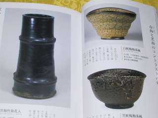 Japanese Tea Ceremony Ceramics Book Satsuma Yaki Chawan  