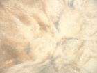 38,50 Euro/m²) Terrassenplatten Dasag   Toscana 40x40 braun beige 