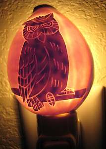 Carved Seashell Night Light   Owl  