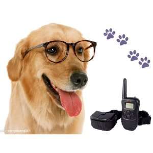 Remote Control Dog Training Transmitter & Collar , 100 Level Shock and 