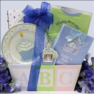    Babys First Birthday ~ Boy Baby Birthday Gift Basket Baby