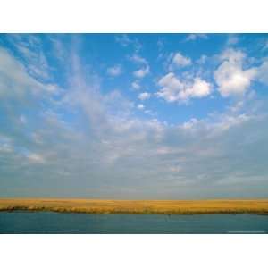  View of the Marsh under a Huge Blue Sky Photographic 