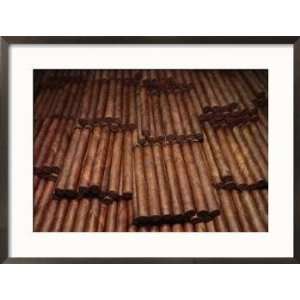 Stacks of Cigars in a Cigar Factory, Havana, Cuba Collections Framed 