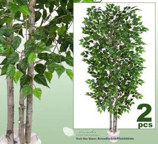 TWO Potted 7 Real Wood Artificial Silver Birch Trees  