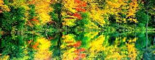 HD Outdoor Canvas Wall Art Panoramic Fall Leaves  
