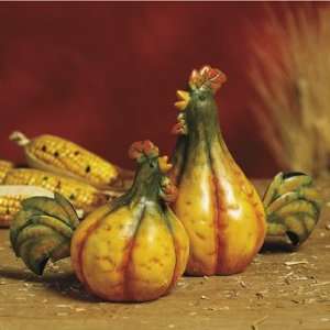  Pumpkin Chickens   Party Decorations & Room Decor Health 