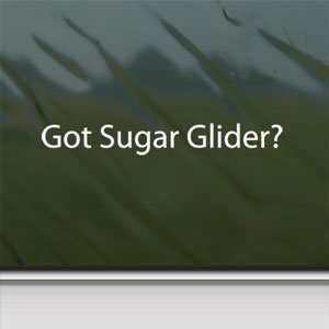  Got Sugar Glider? White Sticker Animal House Pet Laptop 