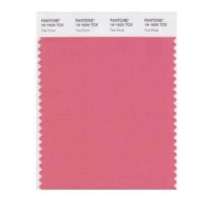  PANTONE SMART 16 1620X Color Swatch Card, Tea Rose