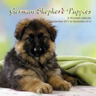 German Shepherd Puppies 2012 Calendar   NEW M  